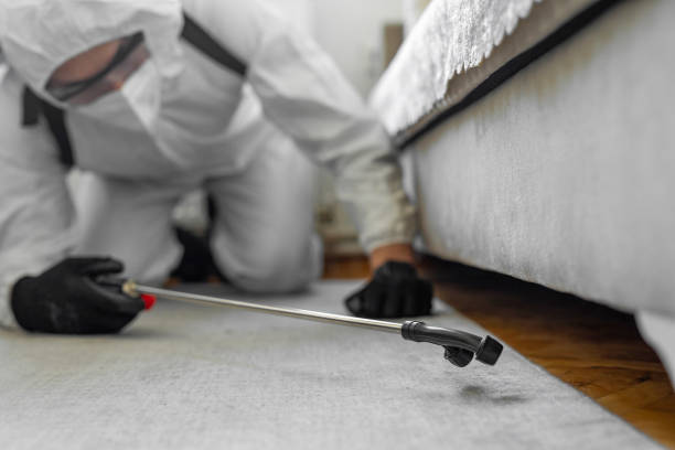 Professional Pest Control technician working in Pike County County, AL